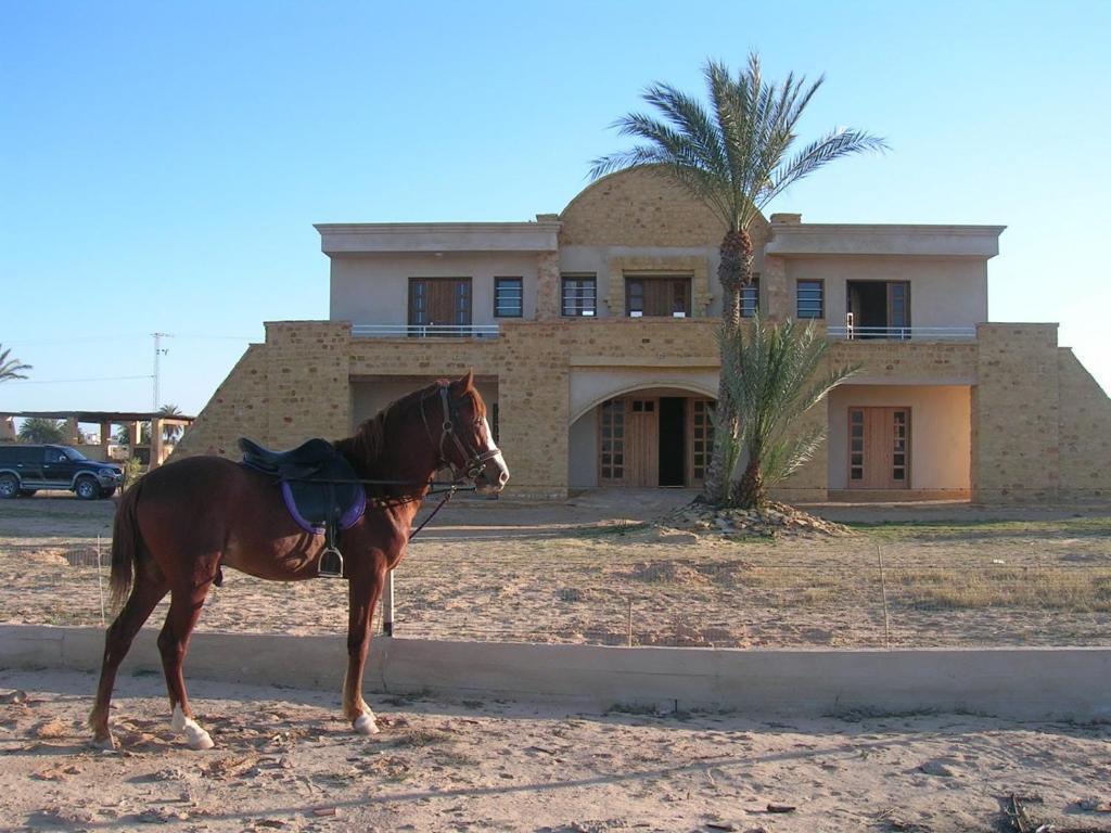 Bella Djerba Otel Houmt Souk  Dış mekan fotoğraf